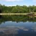 Zolotoy Pond in Moscow city