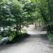 Most drogowy in Gdynia city