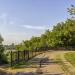 viewpoint in Moscow city