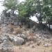 Nuraghe Zommaria Corda