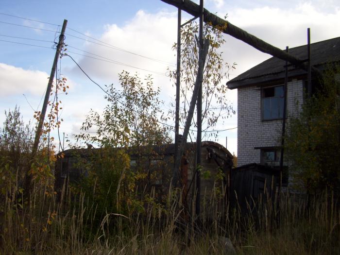 Погода в Семигородней на месяц — Яндекс.Погода