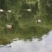 Morskie Oko in Sopot city