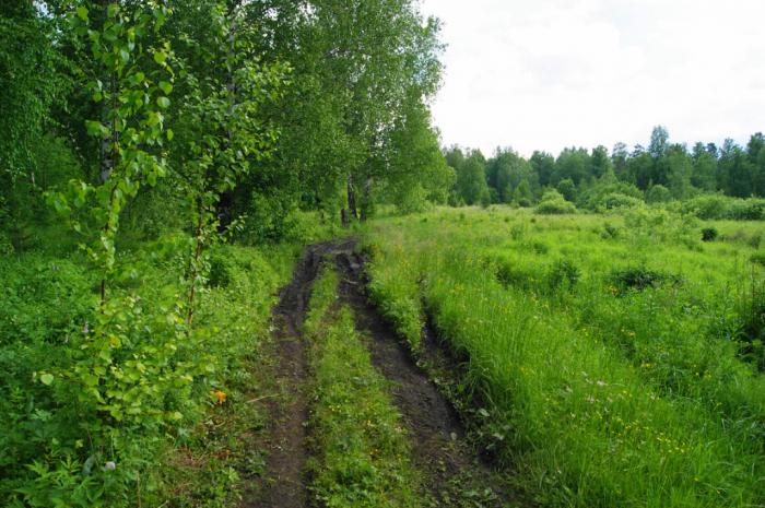 Припышминские боры национальный парк