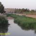 ساحل الوند کنار (fa)