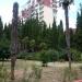 Сквер с пальмами и елями (ru) in Alushta city