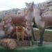 Парк скульптур животных в городе Находка