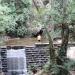 Represa do Quebra (pt) in Rio de Janeiro city