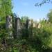Єврейський цвинтар на Зеленій в місті Чернівці