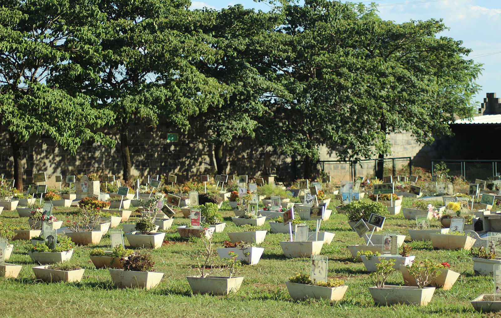 Cemitério Parque De Animais Paraíso Do Amigo Piracicaba 