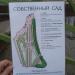 Собственный садик императора Павла I в городе Гатчина