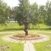 Скульптурная композиция «Аисты» в городе Барнаул
