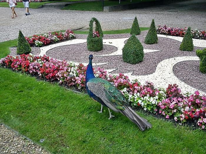 [Obrazek: 74_big.jpg]