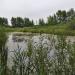 Пруд в городе Каменск-Уральский