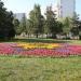 Клумба (ru) in Moscow city