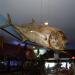 Морской музей (ru) في ميدنة الغردقة    