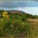 The Burren National Park