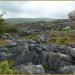 The Burren National Park