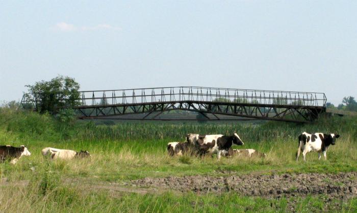 Мостик