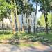 Клумба в городе Гомель