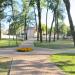 Клумба в городе Гомель