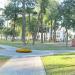 Клумба в городе Гомель