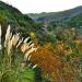 Escondido Canyon in Malibu, California city