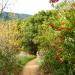 Escondido Canyon in Malibu, California city