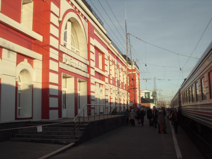 Qulning mushukini yalash