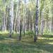 Спортлагерь «Политехник» в городе Пенза