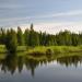 Пруд в городе Каменск-Уральский