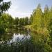 Пруд в городе Каменск-Уральский