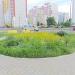 Клумба в городе Гомель