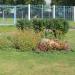 Flower bed in Homieĺ city