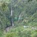 Taman Nasional Gunung Halimun - Salak