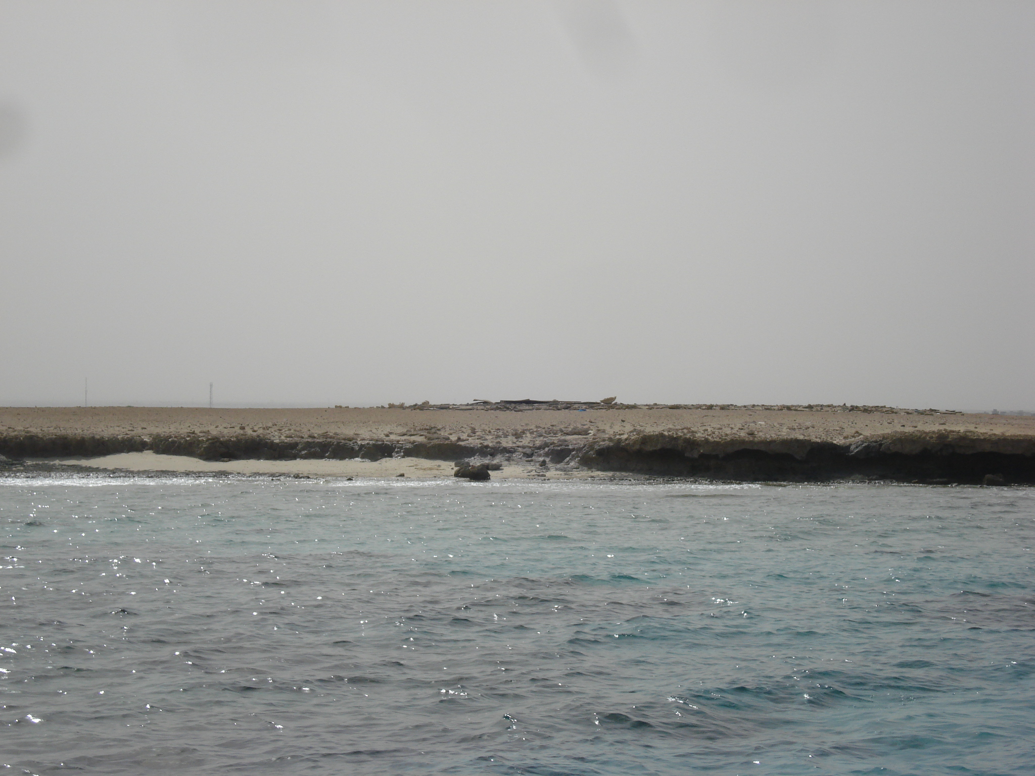 The Surprisingly Delicious Truth About Coral Island Fruit - m9l5cyd