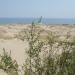 Parnidis dune (also known as 