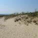 Parnidis dune (also known as 