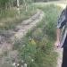 Противопожарный ров в городе Павловский Посад