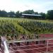 Stadium SMK Syed Hasan