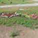 Flower bed in Homieĺ city