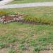 Flower bed in Homieĺ city