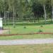 Flower bed in Homieĺ city