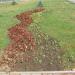 Flower bed in Homieĺ city