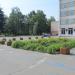 Flower bed in Homieĺ city