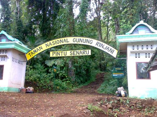 Taman Nasional Gunung Rinjani 