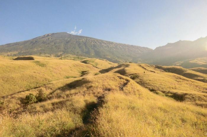 Taman Nasional Gunung Rinjani 