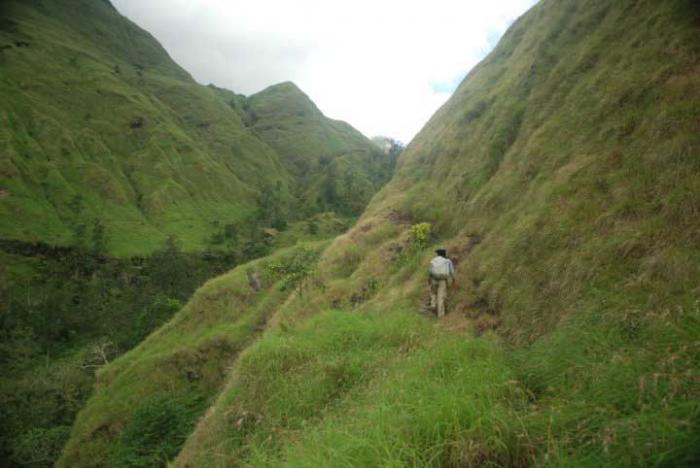 Taman Nasional Gunung Rinjani 