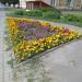 Клумба в городе Гомель