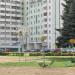 Композиция «Одуванчики» в городе Гомель