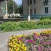 Клумба в городе Гомель